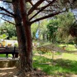 Kastri treehouse garden